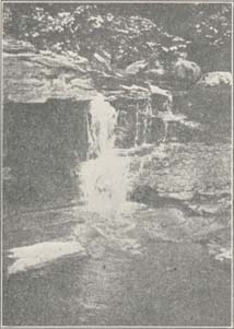 Falls of the Tequetsera at Old Paint Pot Spring.