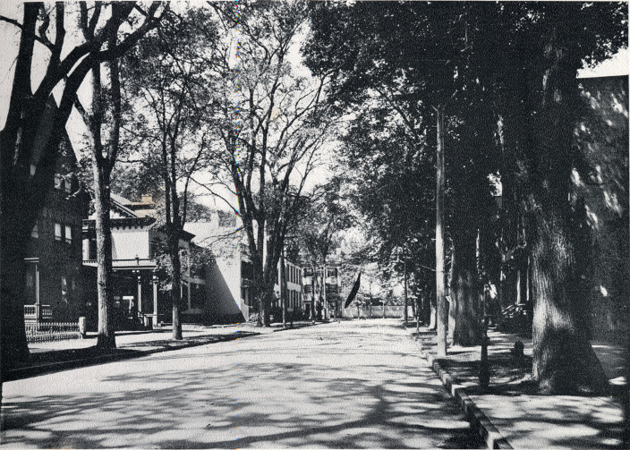 Looking Down Union Street